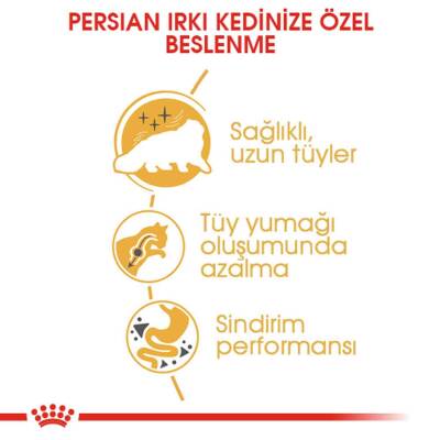 Royal Canin Persian 30 Iran Kedilerine Özel Mama 2 Kg - 3