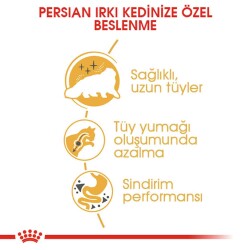 Royal Canin Persian 30 Iran Kedilerine Özel Yetişkin Kedi Mamasi 10 Kg - 4