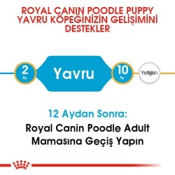 Royal Canin Poodle Junior Yavru Köpek Maması 3 Kg. - 5