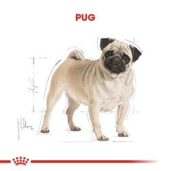 Royal Canin Pug Köpekler Için Köpek Mamasi 1,5 Kg - 2