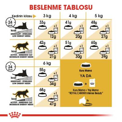 Royal Canin Siamese 38 Siyam Kedisine Özel Yetişkin Mamasi 2 Kg - 6