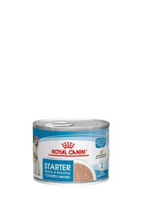 Royal Canin Starter Mousse Mother & Babydog Yavru Köpek Konservesi 195 Gr - 2