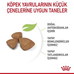 Royal Canin X-Small Puppy Küçük Irk Yavru Köpek Maması 1,5 Kg - 5