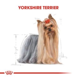 Royal Canin Yorkshire 28 Yorkshire Terrier Köpeklerine Özel Irk Mamasi 1,5 Kg - 2