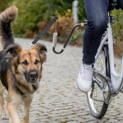 Trixie Bisiklet İçin Köpek Yürütme Aparatı U Şeklinde M-XL Köpek Irkları İçin - 1