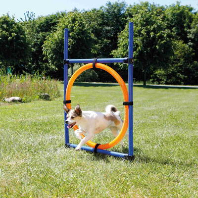 Trixie Köpek Agility Eğitim Çemberi 115×3cm 65cm - 1