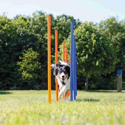 Trixie Köpek Agility Eğitim Direkleri - 2