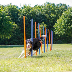 Trixie Köpek Agility Eğitim Direkleri - 3