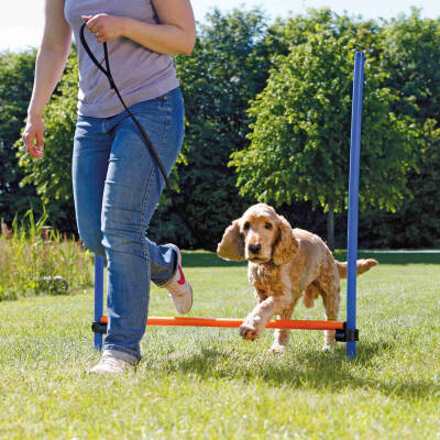 Trixie Köpek Agility Eğitim Manisi 129×115×3cm - 1