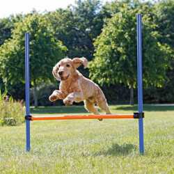 Trixie Köpek Agility Eğitim Manisi 129×115×3cm - 2