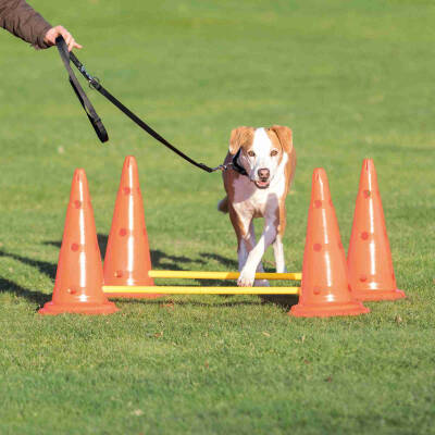 Trixie Köpek Agility Oyuncağı 2 Adet 30X50cm 100cm - 2