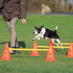 Trixie Köpek Agility Oyuncağı 3 Adet 23X30cm 78cm - 1