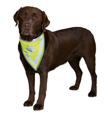 Trixie Köpek Bandanası L-XL 42-60cm - 1