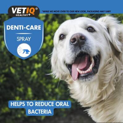 Vet IQ 2in1 Gum Shield Kedi Köpek Ağız Ve Diş Bakım Spreyi 100 Ml - 1