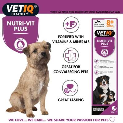 Vet IQ Nutri-Vit Plus Yetişkin Ve Yavru Köpekler İçin Vitamin Ve Mineral Takviyesi 100 Gr - 1