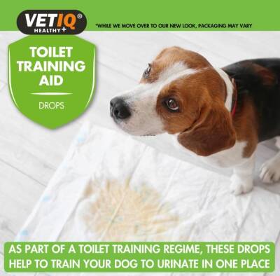 Vet IQ Training Aid Köpek Çiş Eğitim İlacı 60 ml - 1