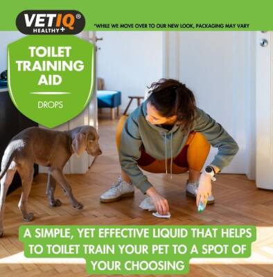 Vet IQ Training Aid Köpek Çiş Eğitim İlacı 60 ml - 3